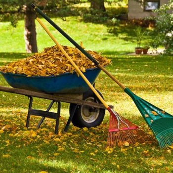 Fall Clean Up Services