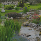 Landscape Design Services