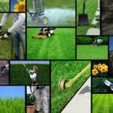 Lawn Maintenance Services