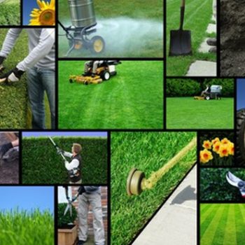 Lawn Maintenance Services